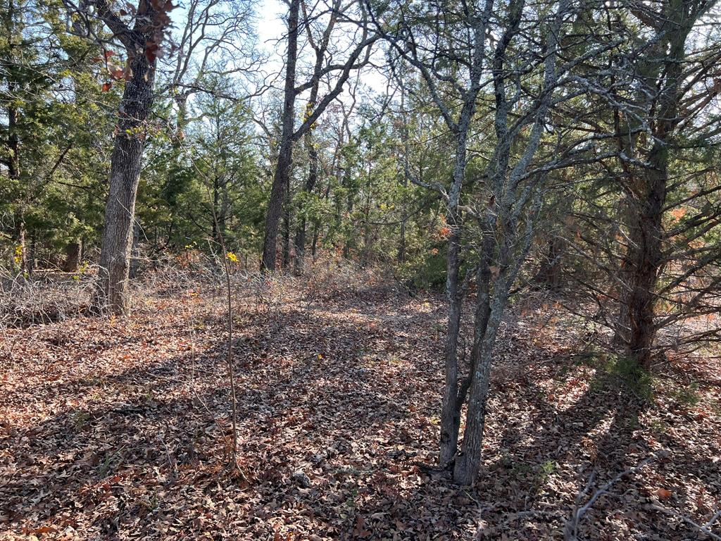 000 Rock Hill Road Property Photo 22