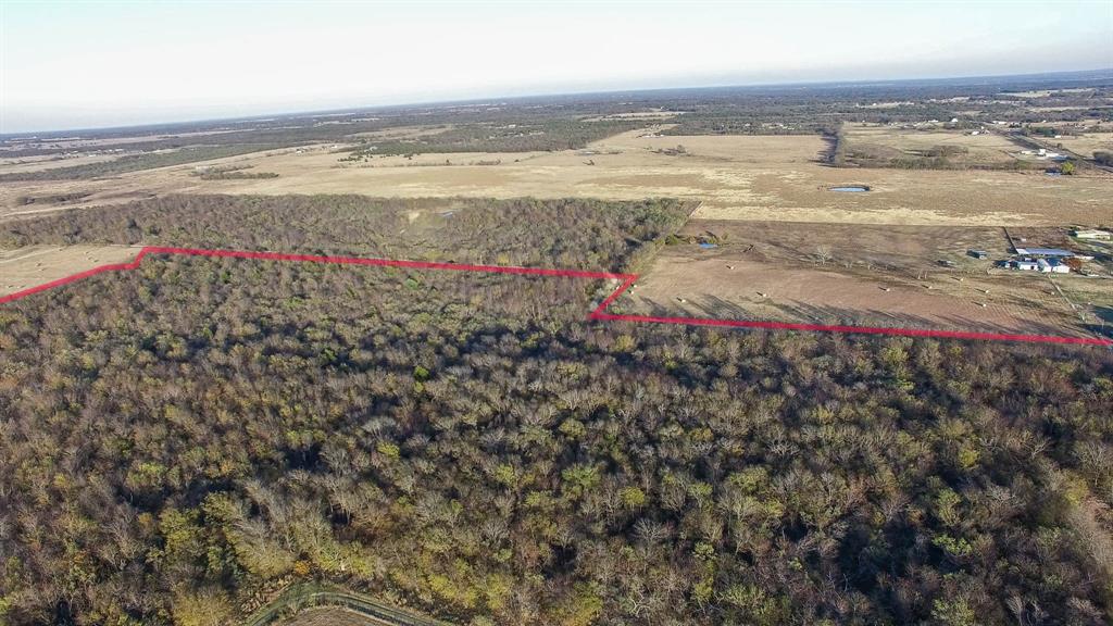 Tbd Fm-2860 Property Photo 8