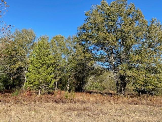 Tr 3 Meadow Park Property Photo 1