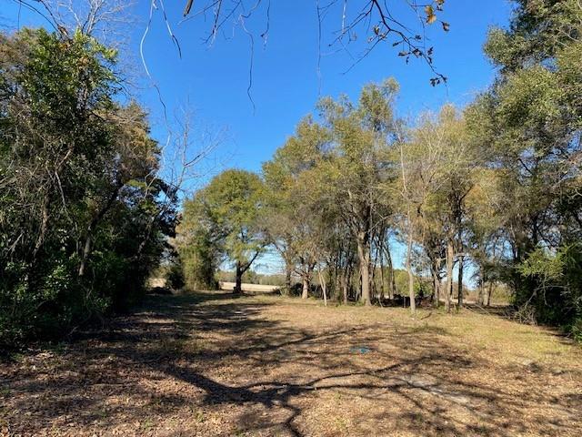 Tr 8 Us Highway 175 Property Photo 1