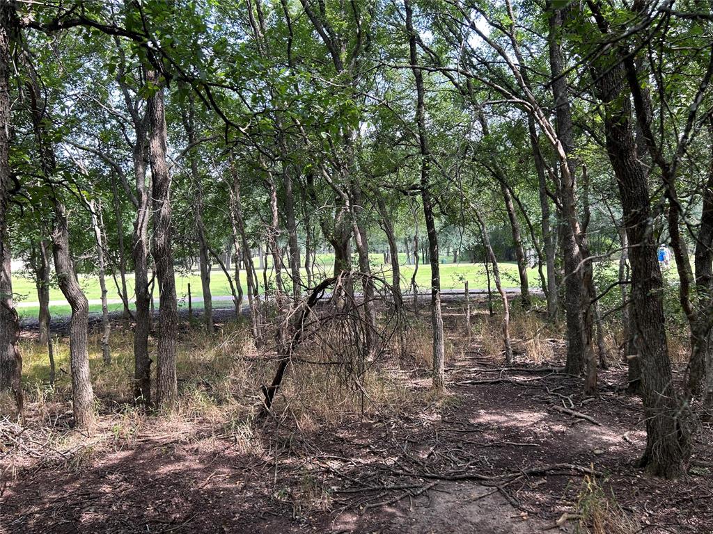 24043 Stonewood Drive Property Photo 4