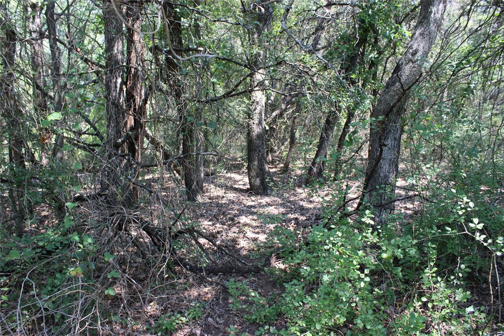 24043 Stonewood Drive Property Photo 5