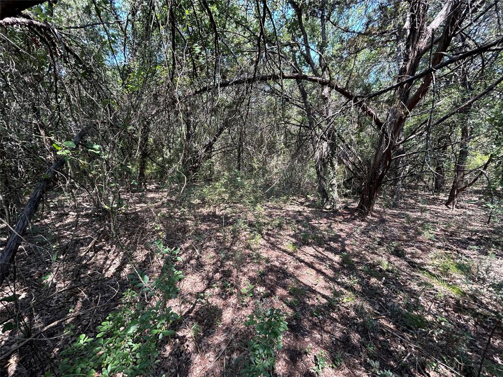 24043 Stonewood Drive Property Photo 6