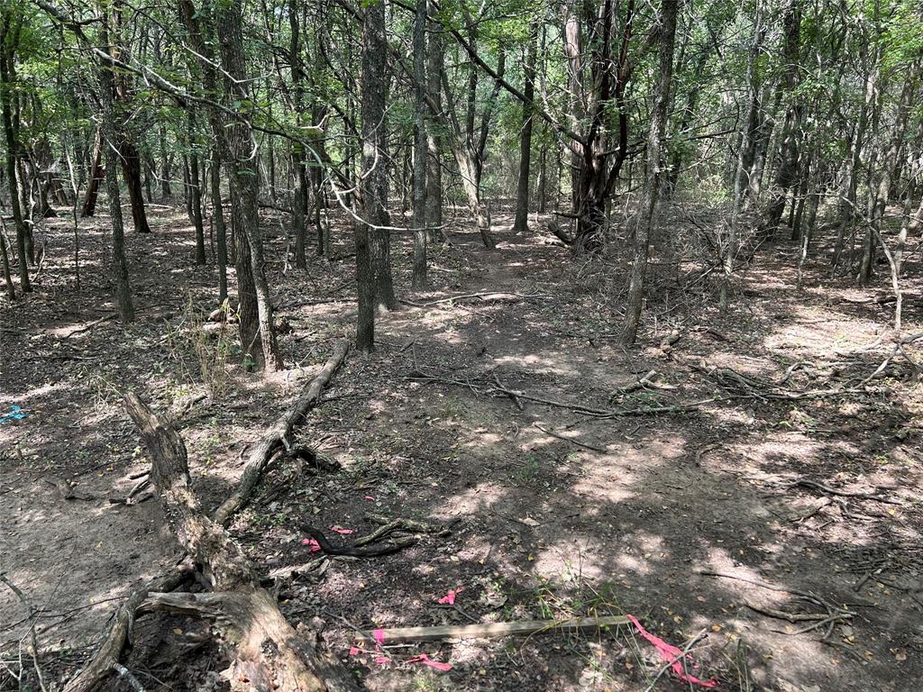 24042 Stonewood Drive Property Photo 3