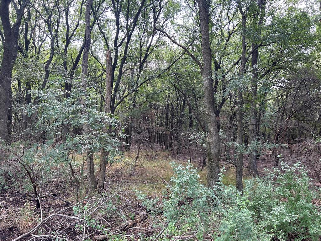 24042 Stonewood Drive Property Photo 5