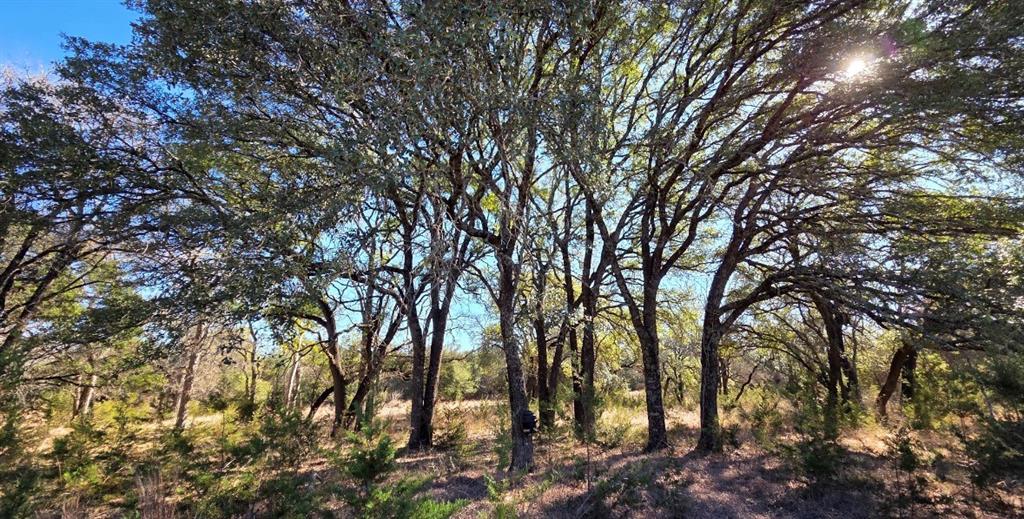 Tbd County Road 4195 Property Photo 7