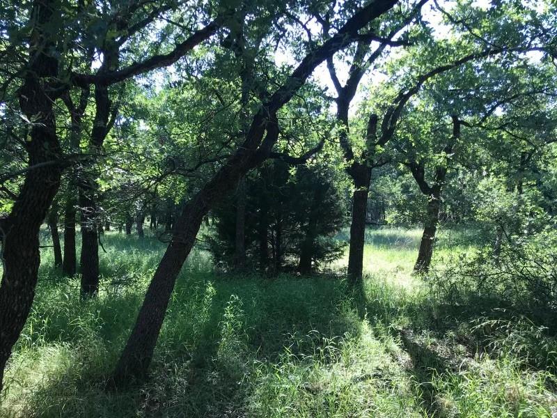 00 Ridgeline Drive Property Photo 3
