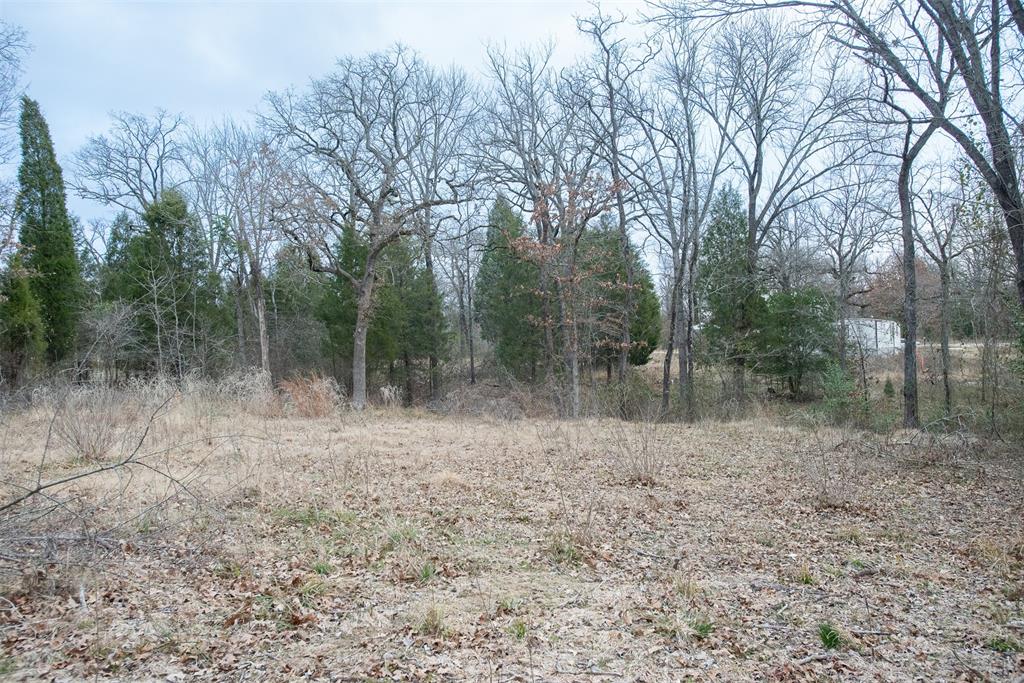Tbd Sam Houston Drive Property Photo 4