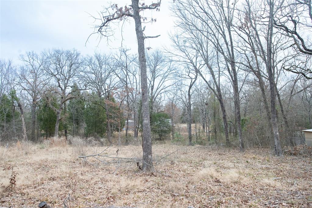 Tbd Sam Houston Drive Property Photo 5