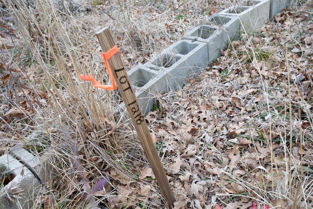 Tbd Sam Houston Drive Property Photo 6