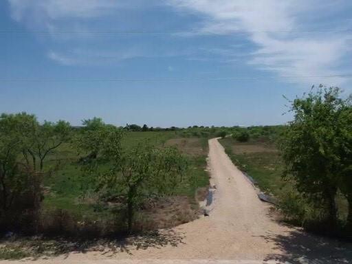 2971 County Road 442 Property Photo 5