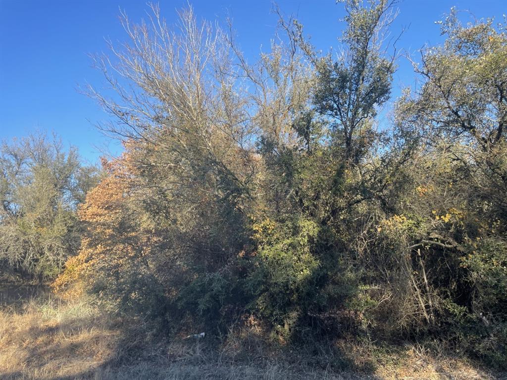 3751 Old Decatur Road Property Photo 3