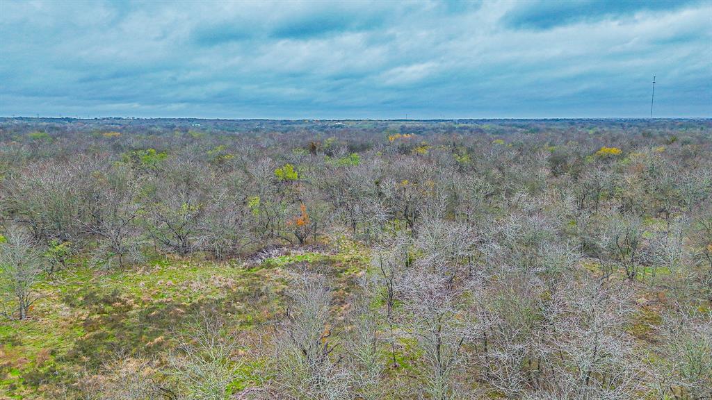 141 Sw County Road 2349 Property Photo 14