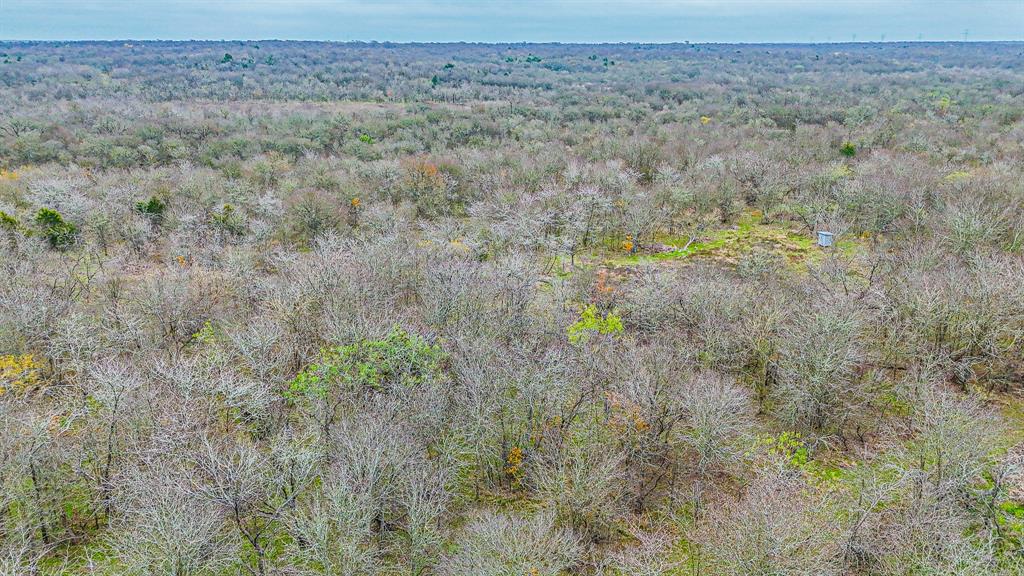 141 Sw County Road 2349 Property Photo 15