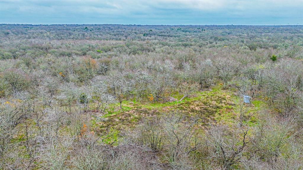 141 Sw County Road 2349 Property Photo 16