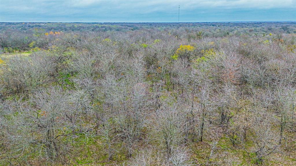 141 Sw County Road 2349 Property Photo 20