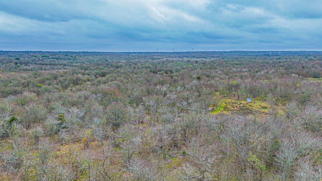141 Sw County Road 2349 Property Photo 24