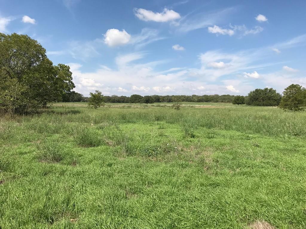 705 County Road 2480 Property Photo 18
