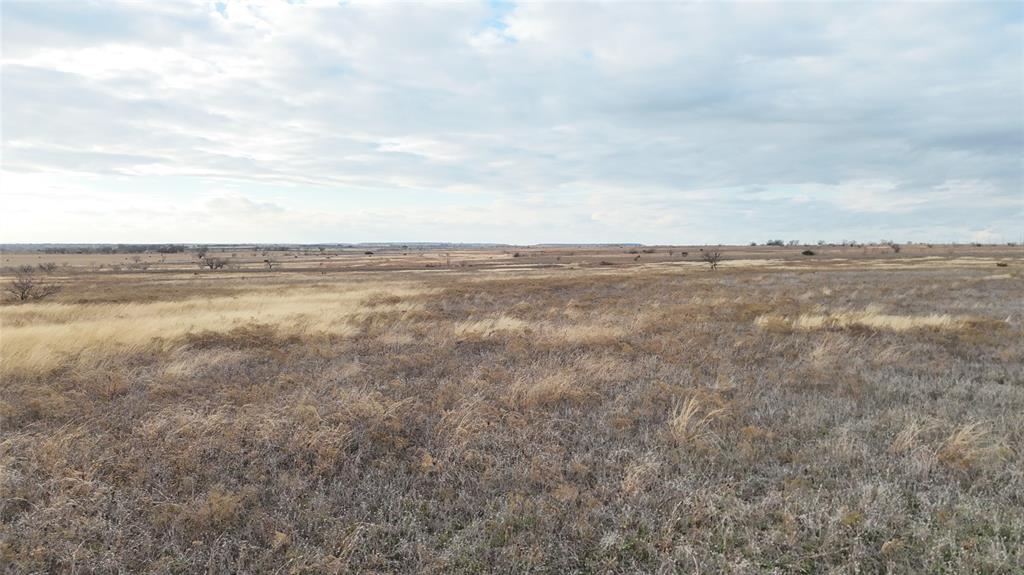 Tbd County-road 619 Property Photo 4