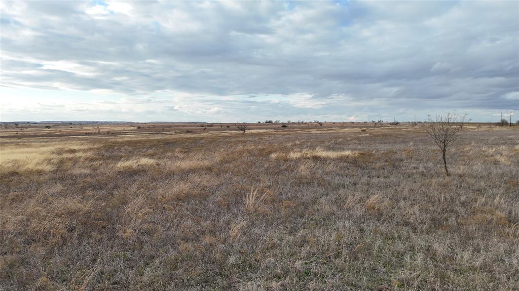 Tbd County-road 619 Property Photo 6