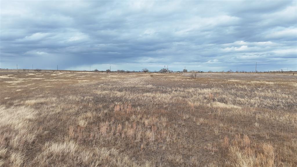 Tbd County-road 619 Property Photo 13