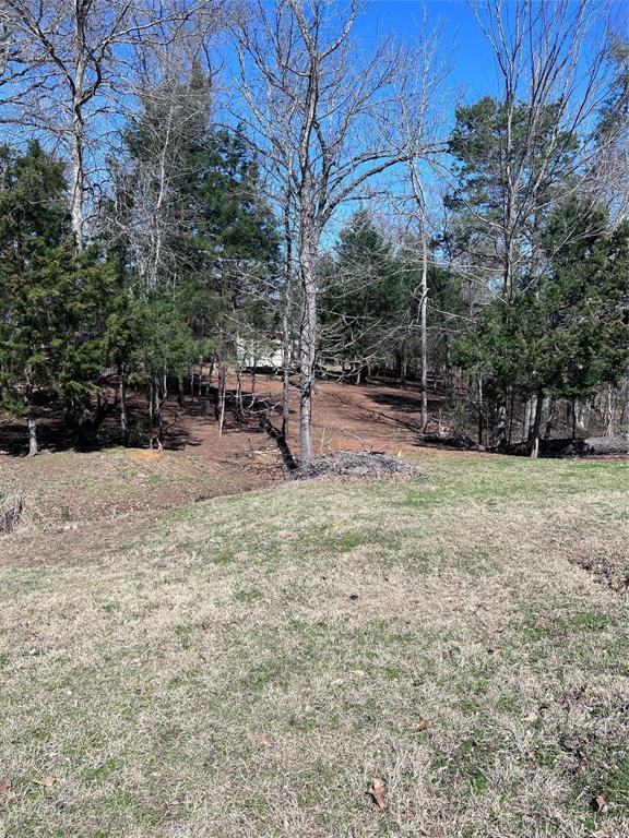 10903 Oakdale Property Photo 4