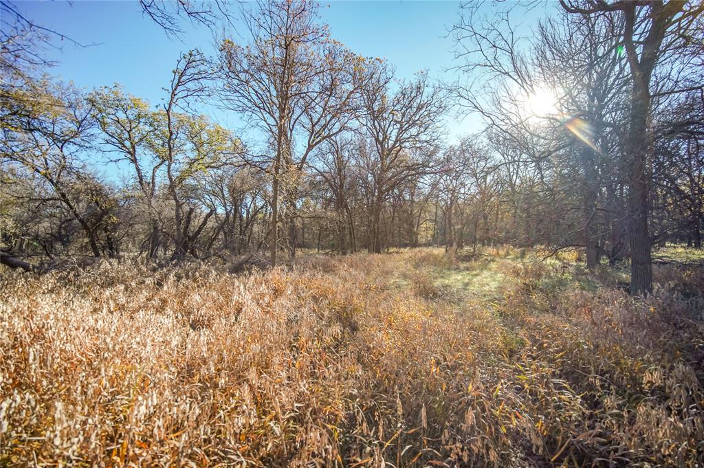 Tbd 281 Highway Property Photo 3
