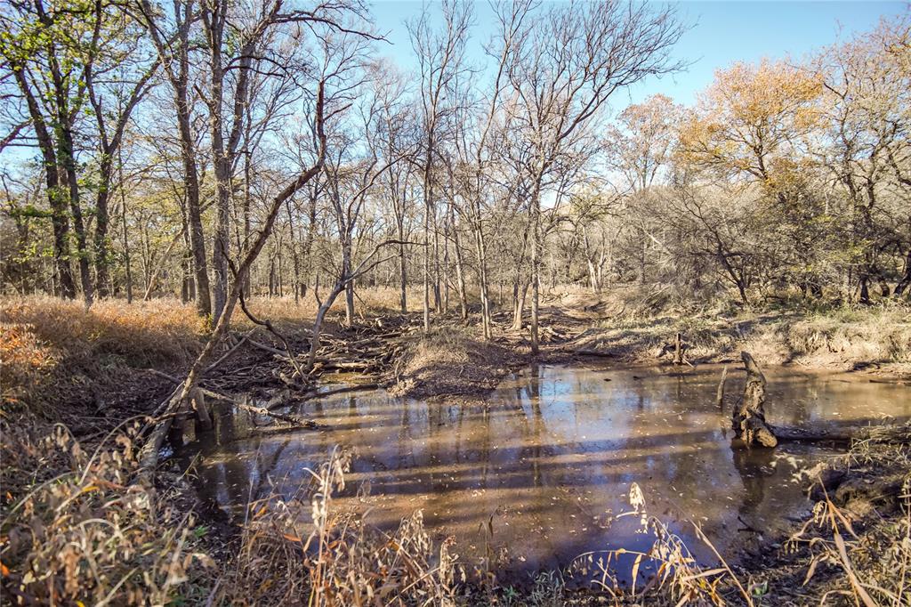 Tbd 281 Highway Property Photo 4
