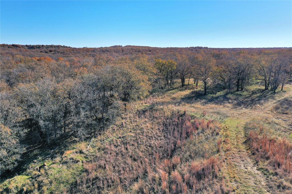 Tbd 281 Highway Property Photo 10