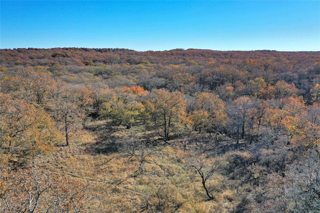 Tbd 281 Highway Property Photo 11