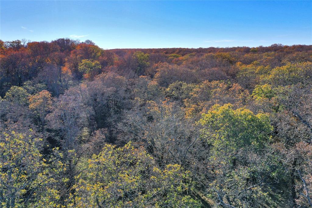 Tbd 281 Highway Property Photo 14
