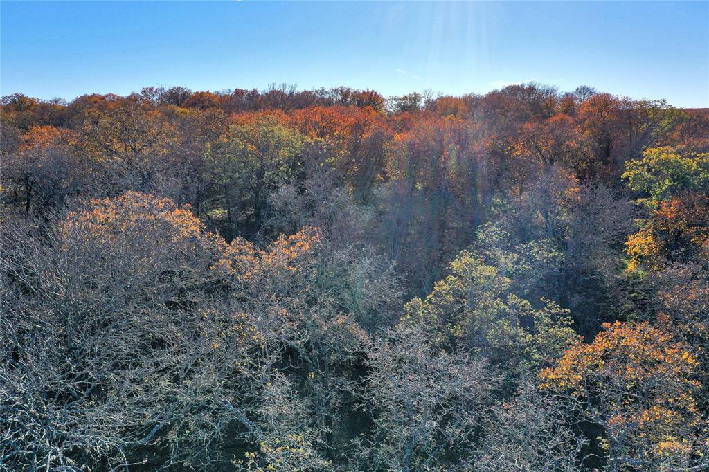 Tbd 281 Highway Property Photo 15
