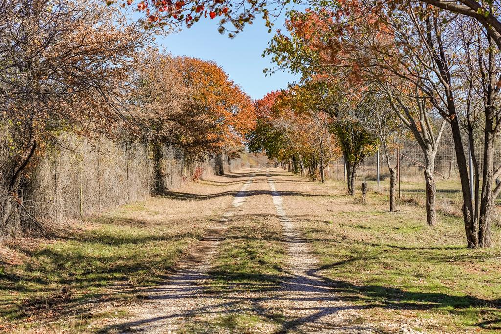 Tbd 281 Highway Property Photo 17