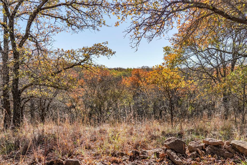 Tbd 281 Highway Property Photo 19