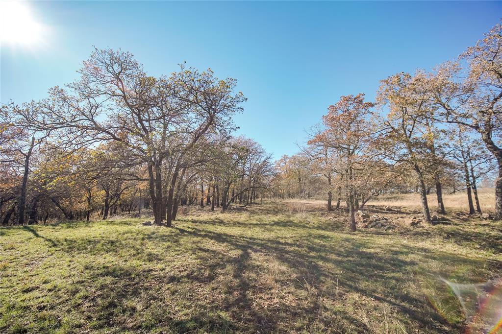 Tbd 281 Highway Property Photo 26