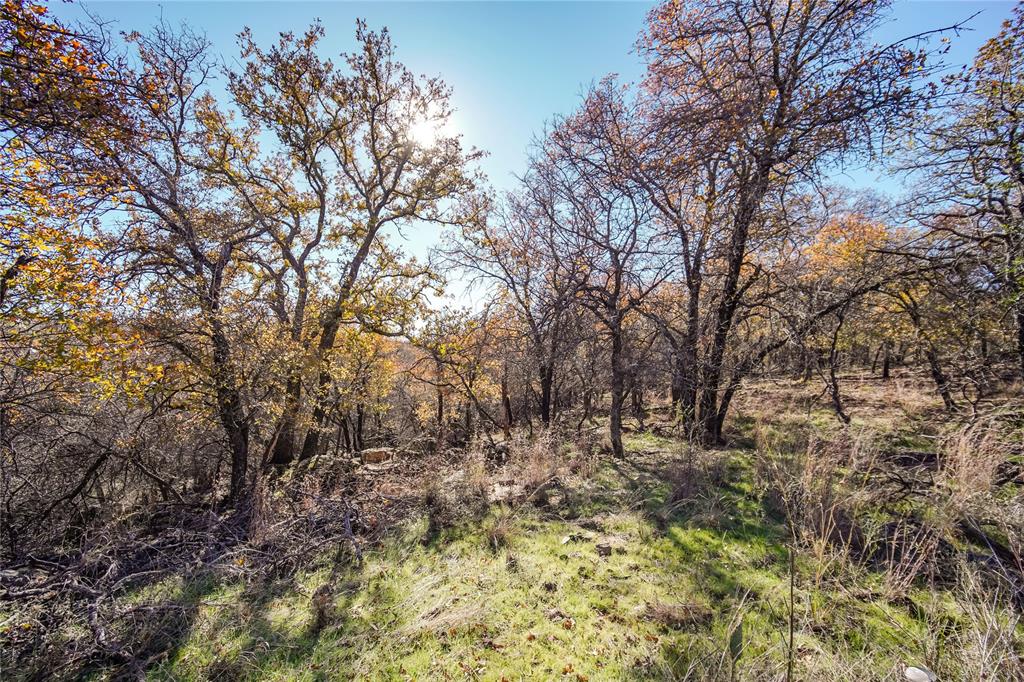 Tbd 281 Highway Property Photo 27