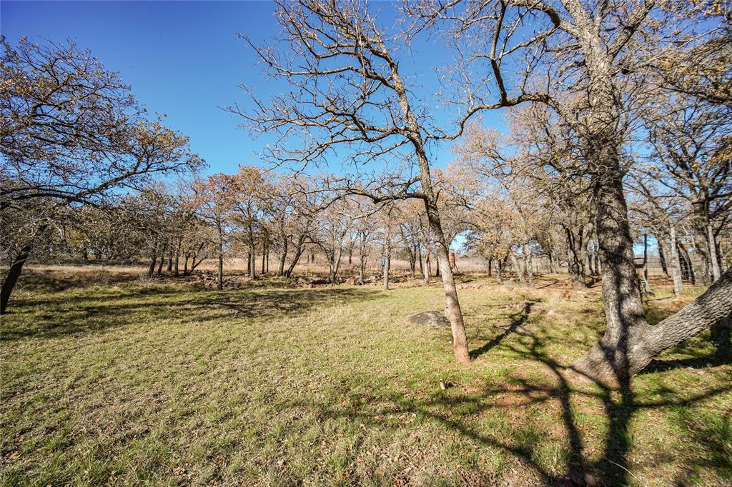 Tbd 281 Highway Property Photo 28