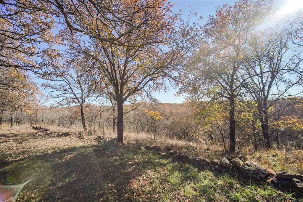 Tbd 281 Highway Property Photo 29
