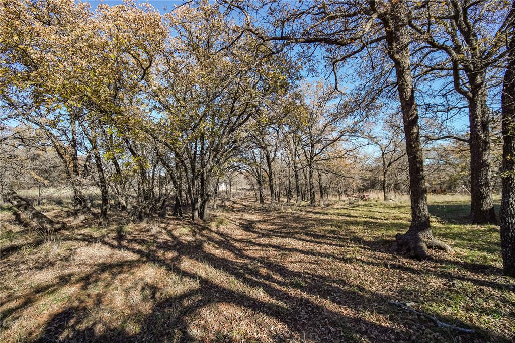 Tbd 281 Highway Property Photo 30