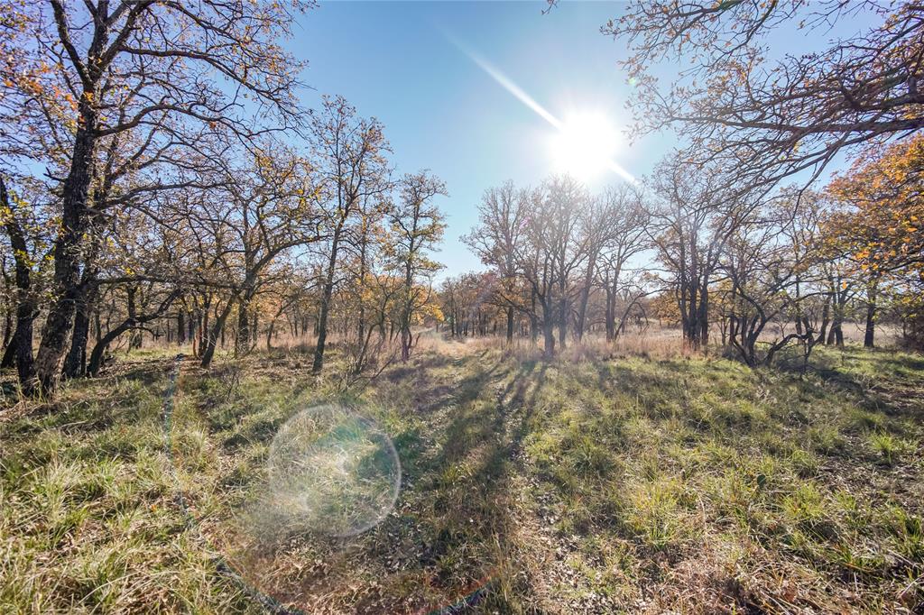 Tbd 281 Highway Property Photo 32