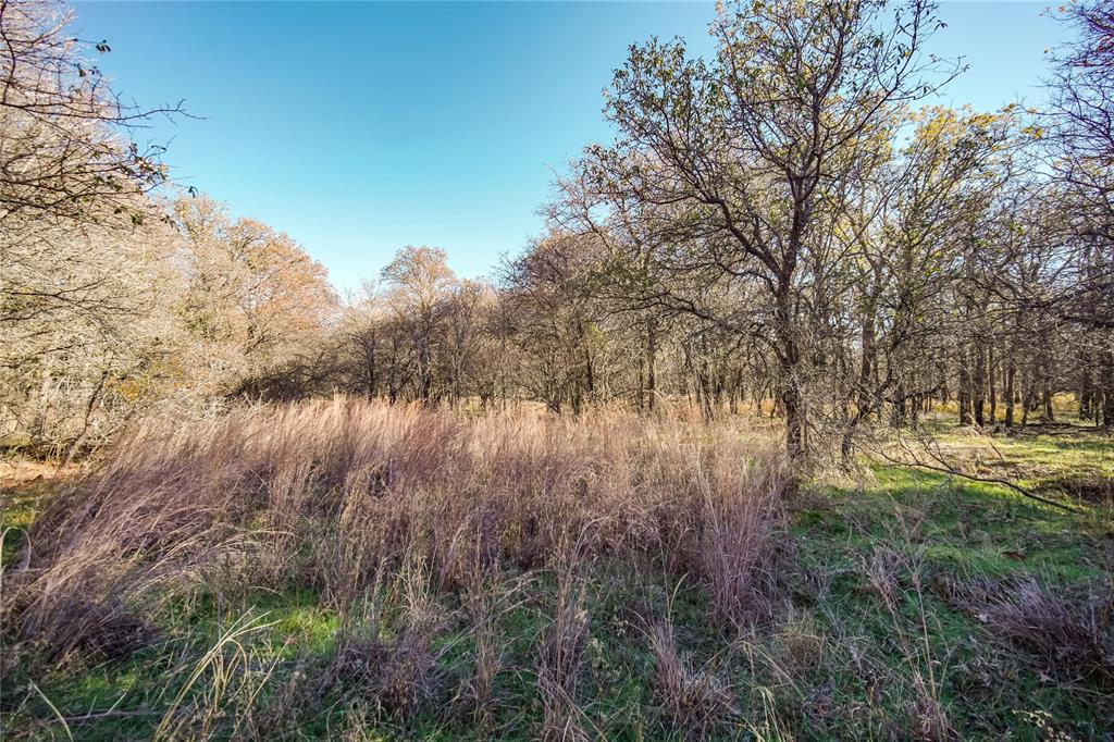 Tbd 281 Highway Property Photo 34