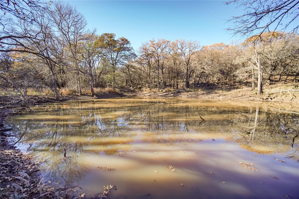 Tbd 281 Highway Property Photo 38