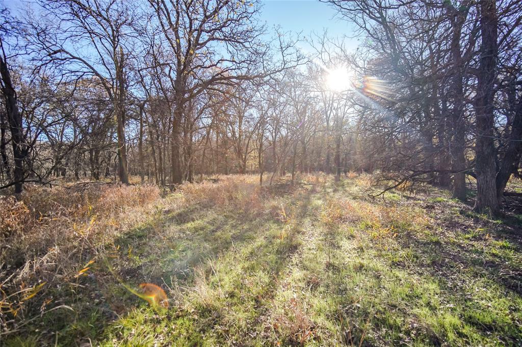 Tbd 281 Highway Property Photo 39