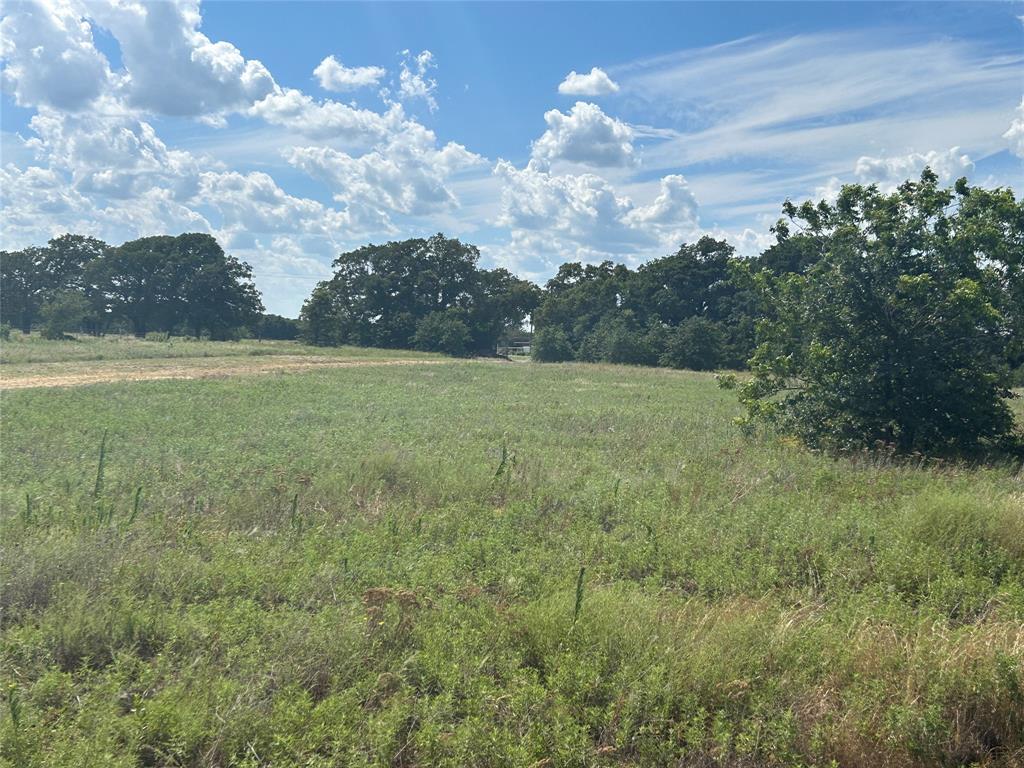 1479 Redbird Lane Property Photo 4
