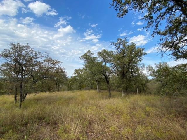 155 Phillips Court Property Photo 6
