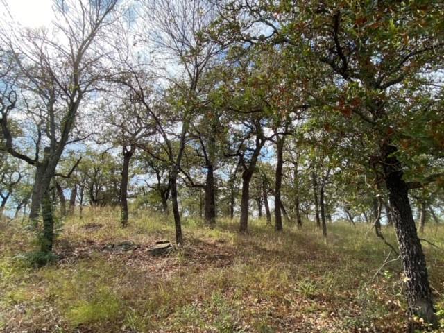 155 Phillips Court Property Photo 8
