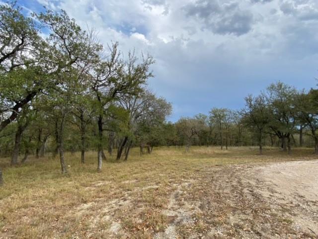 155 Phillips Court Property Photo 10
