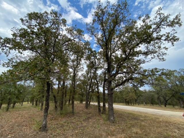 155 Phillips Court Property Photo 13