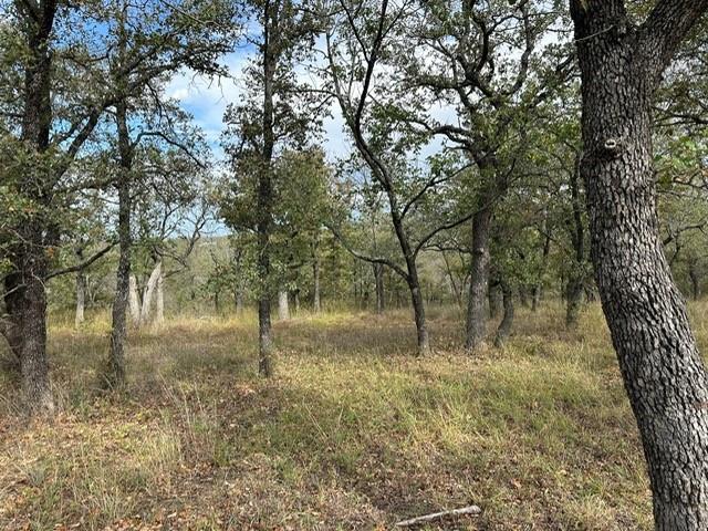 155 Phillips Court Property Photo 16