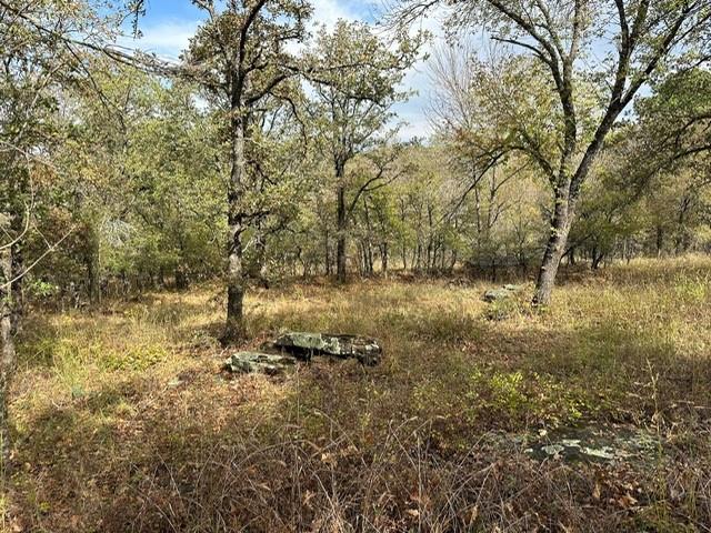 155 Phillips Court Property Photo 18